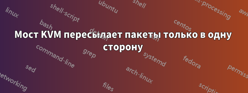 Мост KVM пересылает пакеты только в одну сторону