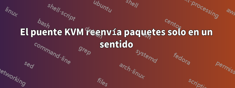 El puente KVM reenvía paquetes solo en un sentido