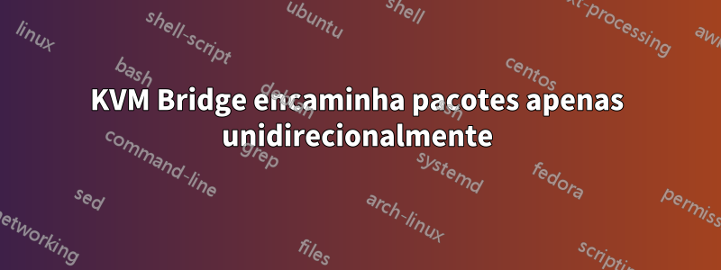KVM Bridge encaminha pacotes apenas unidirecionalmente