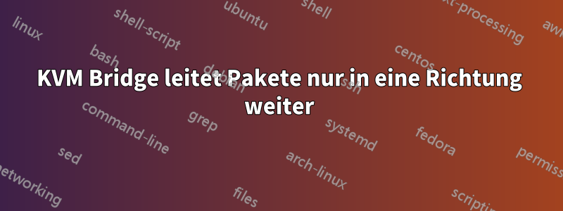 KVM Bridge leitet Pakete nur in eine Richtung weiter
