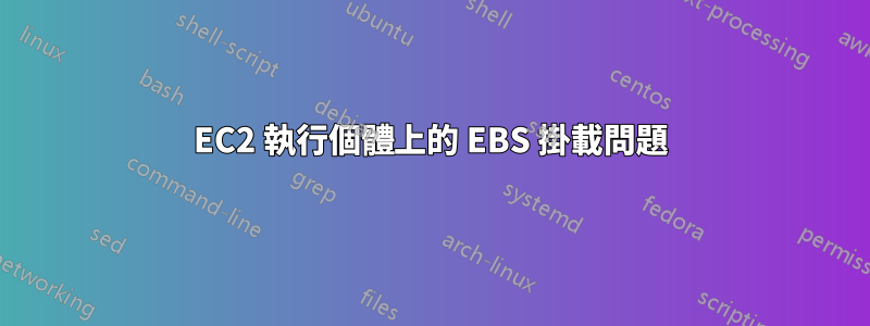 EC2 執行個體上的 EBS 掛載問題