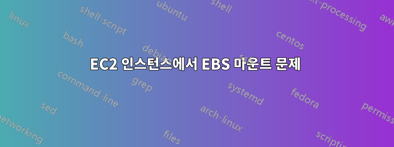 EC2 인스턴스에서 EBS 마운트 문제