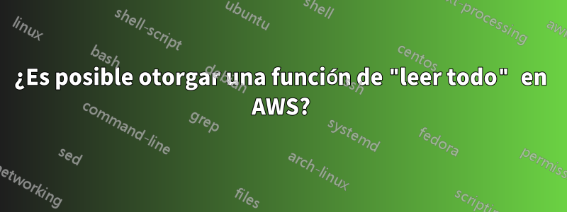 ¿Es posible otorgar una función de "leer todo" en AWS?