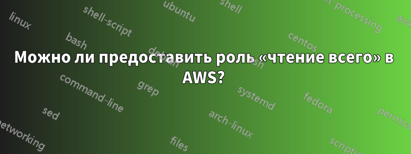 Можно ли предоставить роль «чтение всего» в AWS?