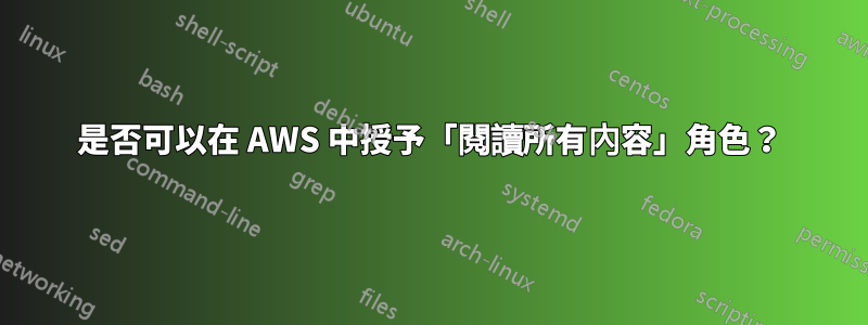 是否可以在 AWS 中授予「閱讀所有內容」角色？