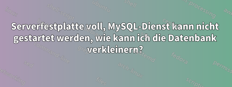 Serverfestplatte voll, MySQL-Dienst kann nicht gestartet werden, wie kann ich die Datenbank verkleinern?