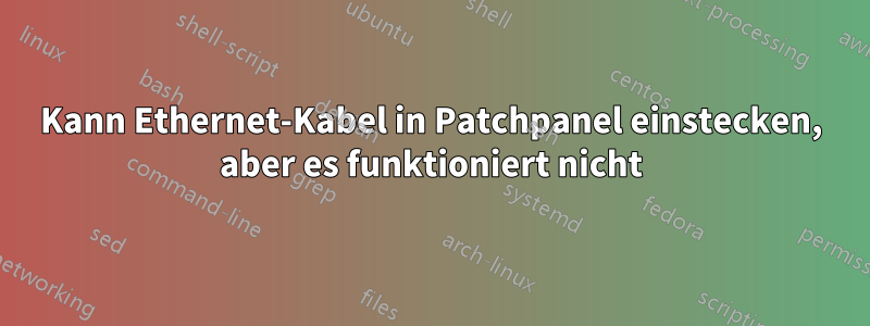 Kann Ethernet-Kabel in Patchpanel einstecken, aber es funktioniert nicht