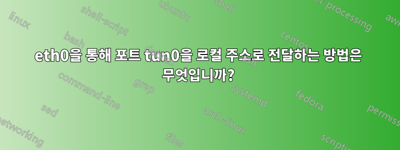 eth0을 통해 포트 tun0을 로컬 주소로 전달하는 방법은 무엇입니까?