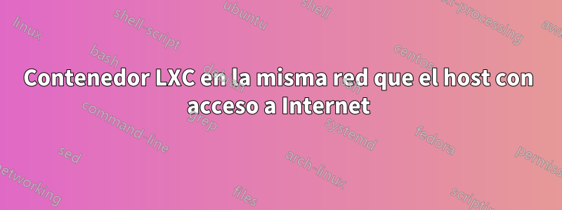 Contenedor LXC en la misma red que el host con acceso a Internet