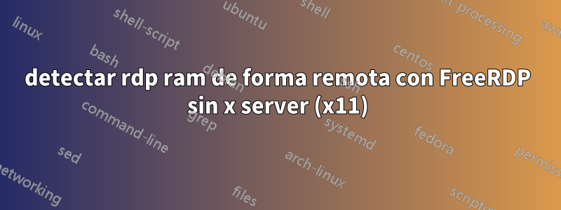 detectar rdp ram de forma remota con FreeRDP sin x server (x11)