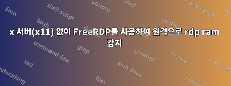 x 서버(x11) 없이 FreeRDP를 사용하여 원격으로 rdp ram 감지