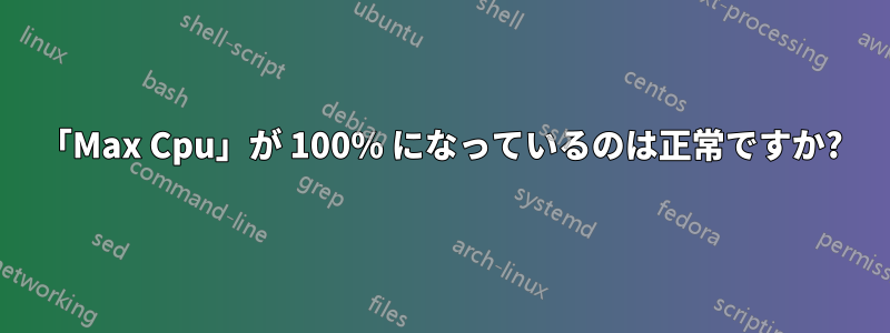 「Max Cpu」が 100% になっているのは正常ですか?