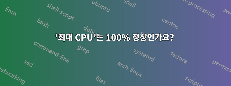 '최대 CPU'는 100% 정상인가요?