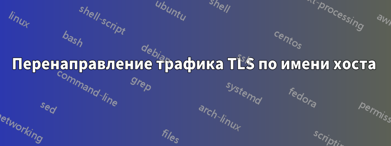 Перенаправление трафика TLS по имени хоста