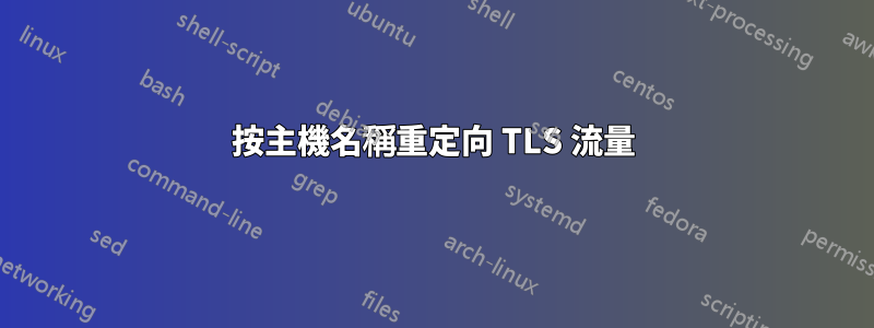 按主機名稱重定向 TLS 流量