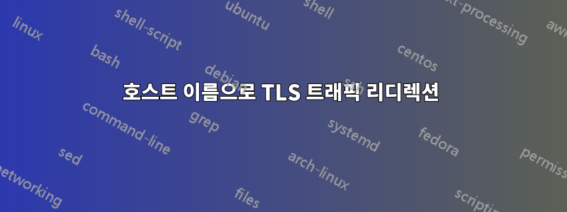 호스트 이름으로 TLS 트래픽 리디렉션