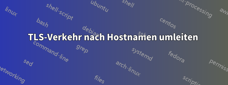 TLS-Verkehr nach Hostnamen umleiten