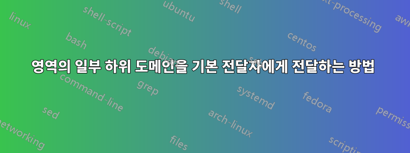 영역의 일부 하위 도메인을 기본 전달자에게 전달하는 방법