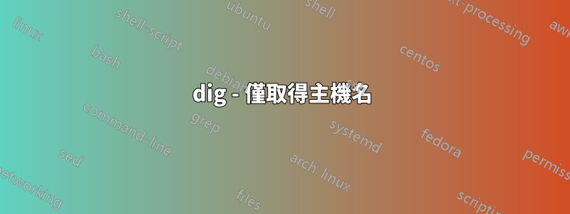 dig - 僅取得主機名