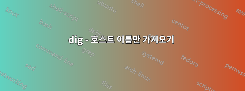 dig - 호스트 이름만 가져오기