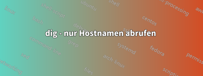 dig - nur Hostnamen abrufen