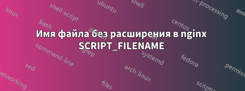 Имя файла без расширения в nginx SCRIPT_FILENAME