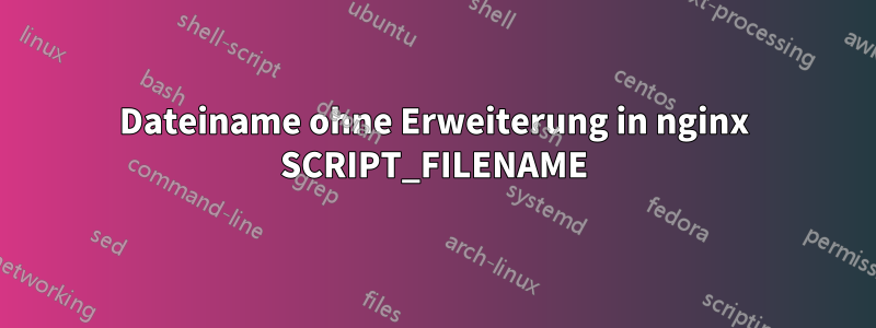 Dateiname ohne Erweiterung in nginx SCRIPT_FILENAME