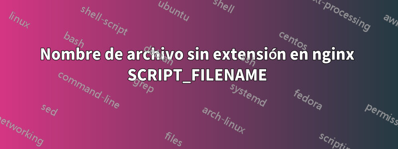 Nombre de archivo sin extensión en nginx SCRIPT_FILENAME