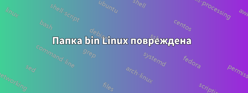 Папка bin Linux повреждена 