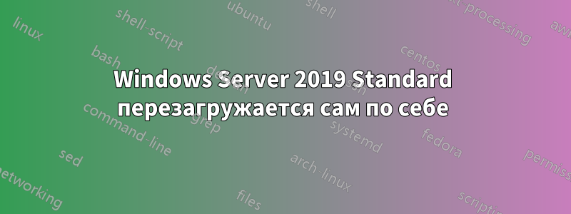 Windows Server 2019 Standard перезагружается сам по себе