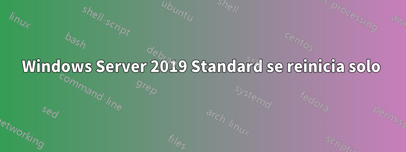 Windows Server 2019 Standard se reinicia solo