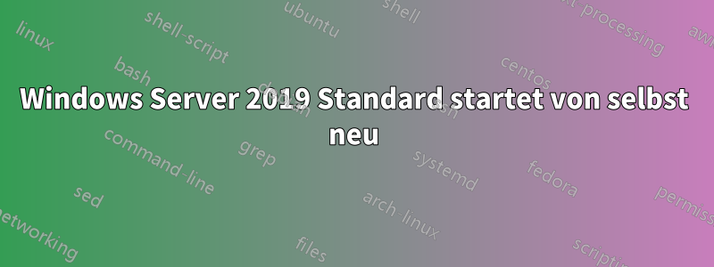 Windows Server 2019 Standard startet von selbst neu