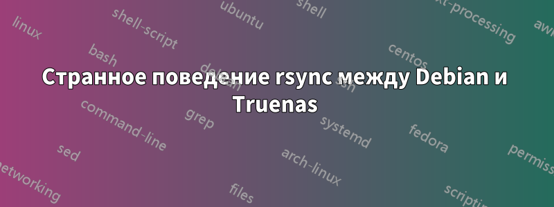 Странное поведение rsync между Debian и Truenas