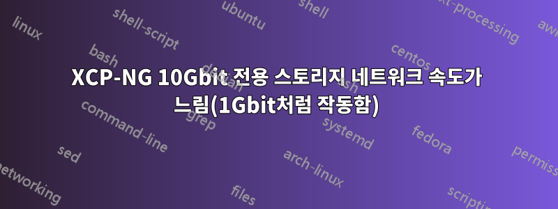 XCP-NG 10Gbit 전용 스토리지 네트워크 속도가 느림(1Gbit처럼 작동함)