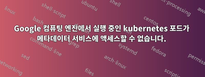 Google 컴퓨팅 엔진에서 실행 중인 kubernetes 포드가 메타데이터 서비스에 액세스할 수 없습니다.