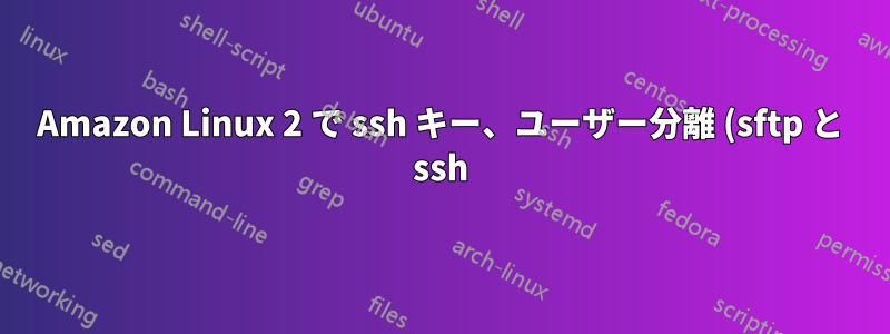 Amazon Linux 2 で ssh キー、ユーザー分離 (sftp と ssh)、異なるポート、ユーザー ディレクトリ制約を使用して sftp を設定する