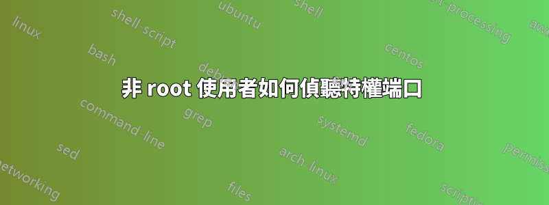 非 root 使用者如何偵聽特權端口