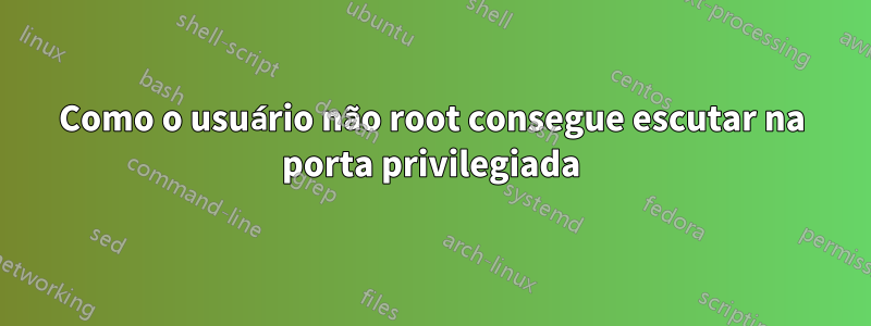 Como o usuário não root consegue escutar na porta privilegiada