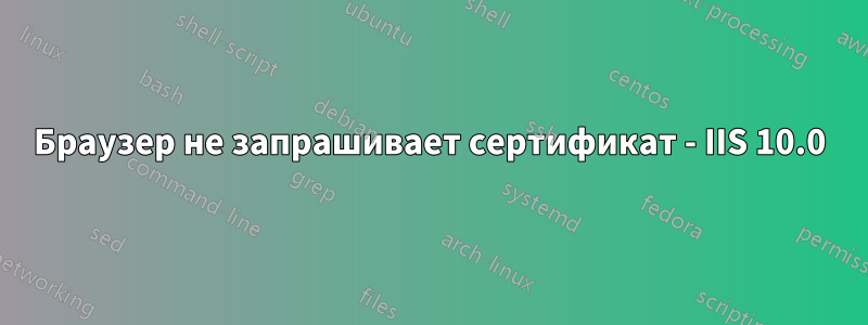 Браузер не запрашивает сертификат - IIS 10.0