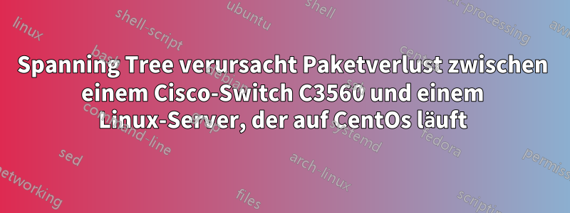 Spanning Tree verursacht Paketverlust zwischen einem Cisco-Switch C3560 und einem Linux-Server, der auf CentOs läuft