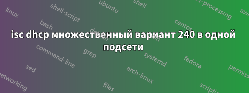 isc dhcp множественный вариант 240 в одной подсети