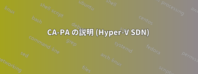 CA-PA の説明 (Hyper-V SDN)