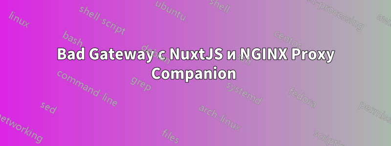 502 Bad Gateway с NuxtJS и NGINX Proxy Companion