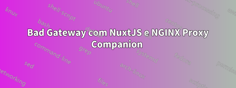 502 Bad Gateway com NuxtJS e NGINX Proxy Companion