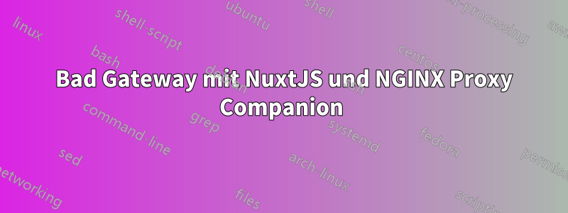 502 Bad Gateway mit NuxtJS und NGINX Proxy Companion