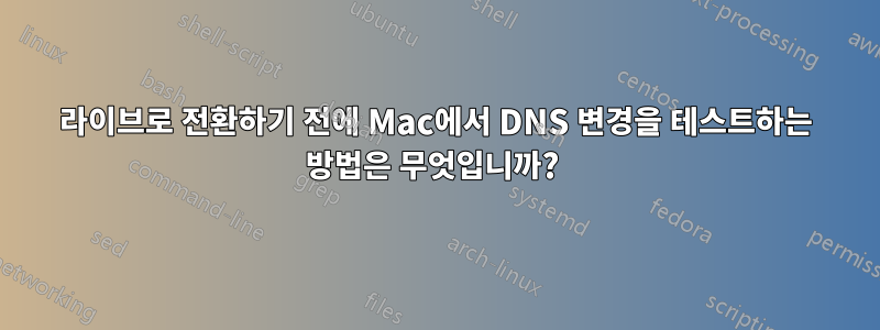 라이브로 전환하기 전에 Mac에서 DNS 변경을 테스트하는 방법은 무엇입니까? 