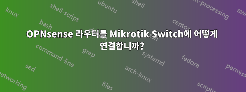 OPNsense 라우터를 Mikrotik Switch에 어떻게 연결합니까?