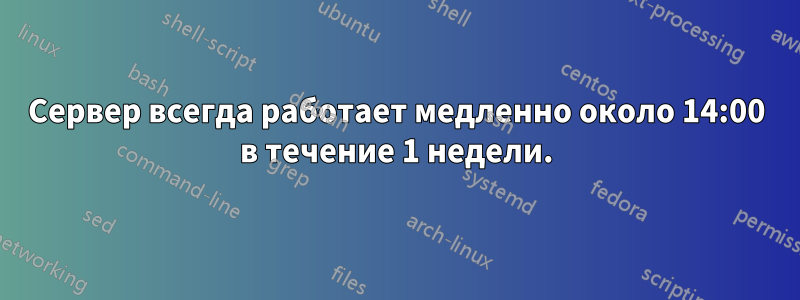 Сервер всегда работает медленно около 14:00 в течение 1 недели.