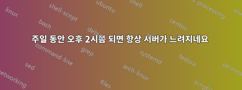 1주일 동안 오후 2시쯤 되면 항상 서버가 느려지네요