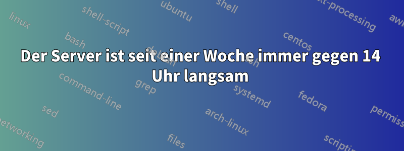 Der Server ist seit einer Woche immer gegen 14 Uhr langsam